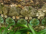 2010 - Museu da Cerâmica - Caldas da Rainha